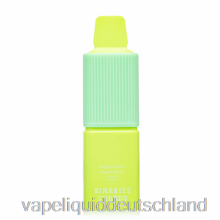 Horizon Binaries TH6000 Einweg-Wassermelonen-Pfirsich-Mint-Vape Deutschland